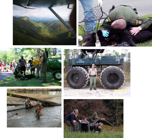 Wardens At Work North American Game Warden Museum